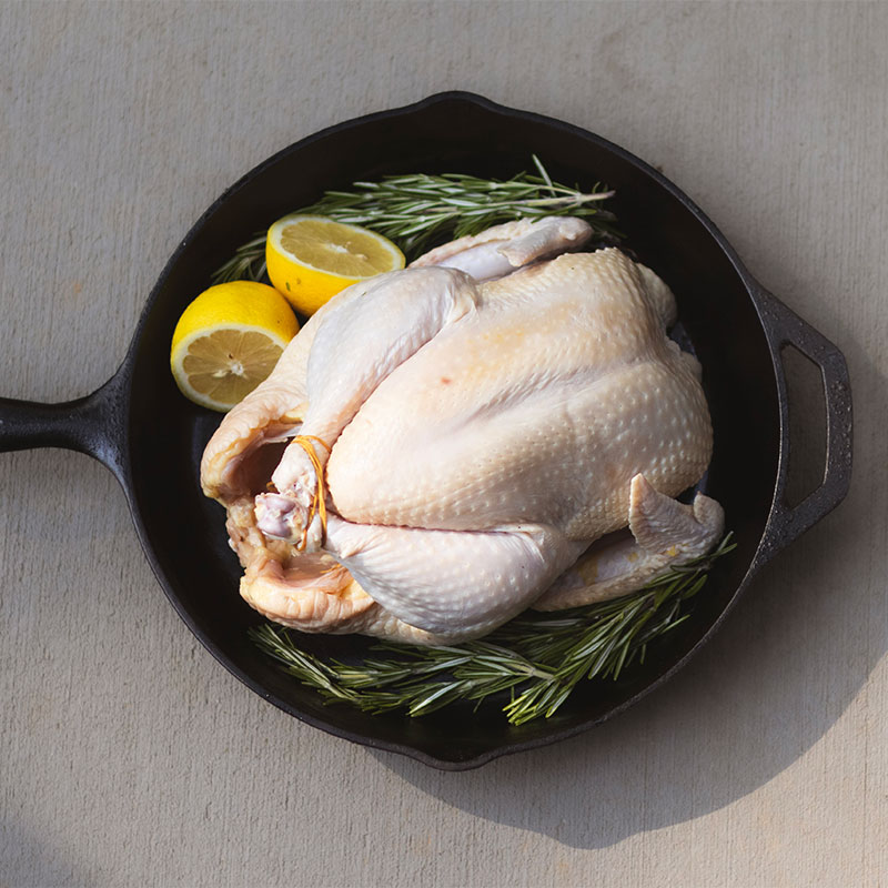 V-&-B-POULTRY-bird-lemons-in-pan-horizontal-home-page V-&-B-POULTRY-bird-lemons-in-pan-horizontal-home-page image